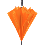 ap721148-10-a_0v7rielx.png