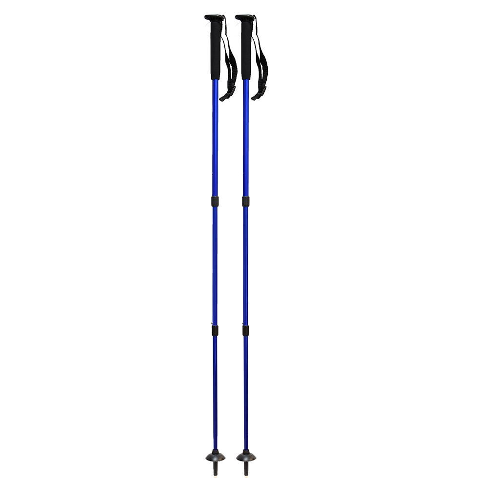 large8425405.jpg